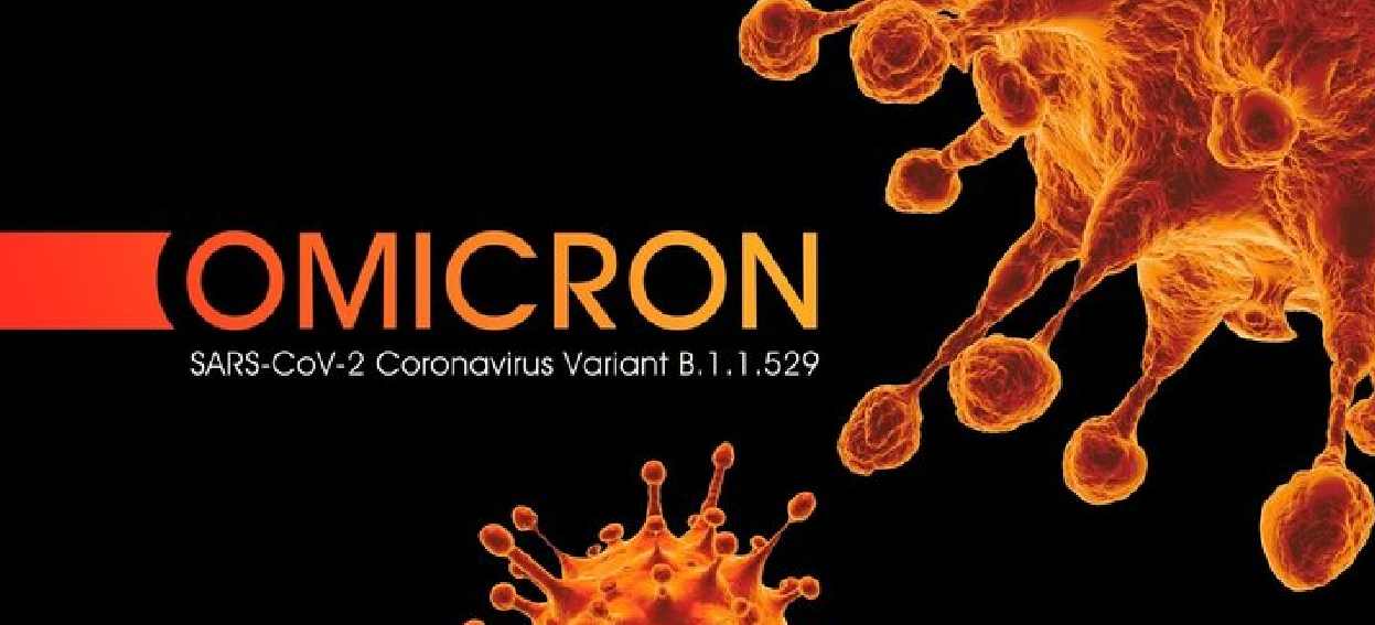 Çinli bilim insanlarından yeni araştırma: Omicron Farelerden insanlara bulaştı