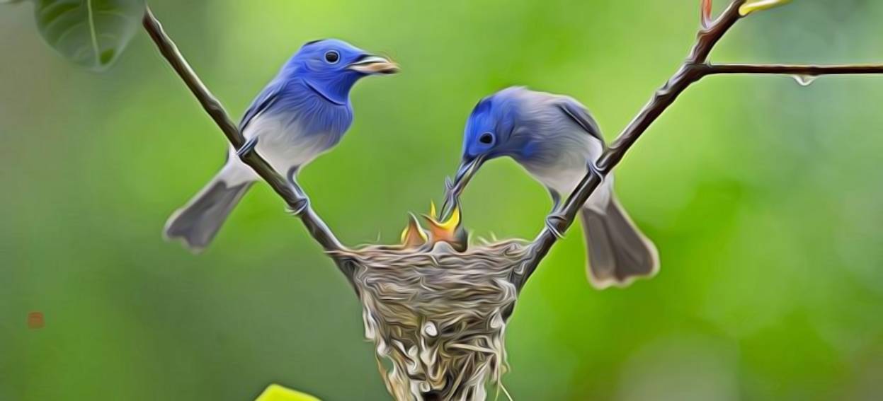 Rızık Endişesi ve Müslümanlar