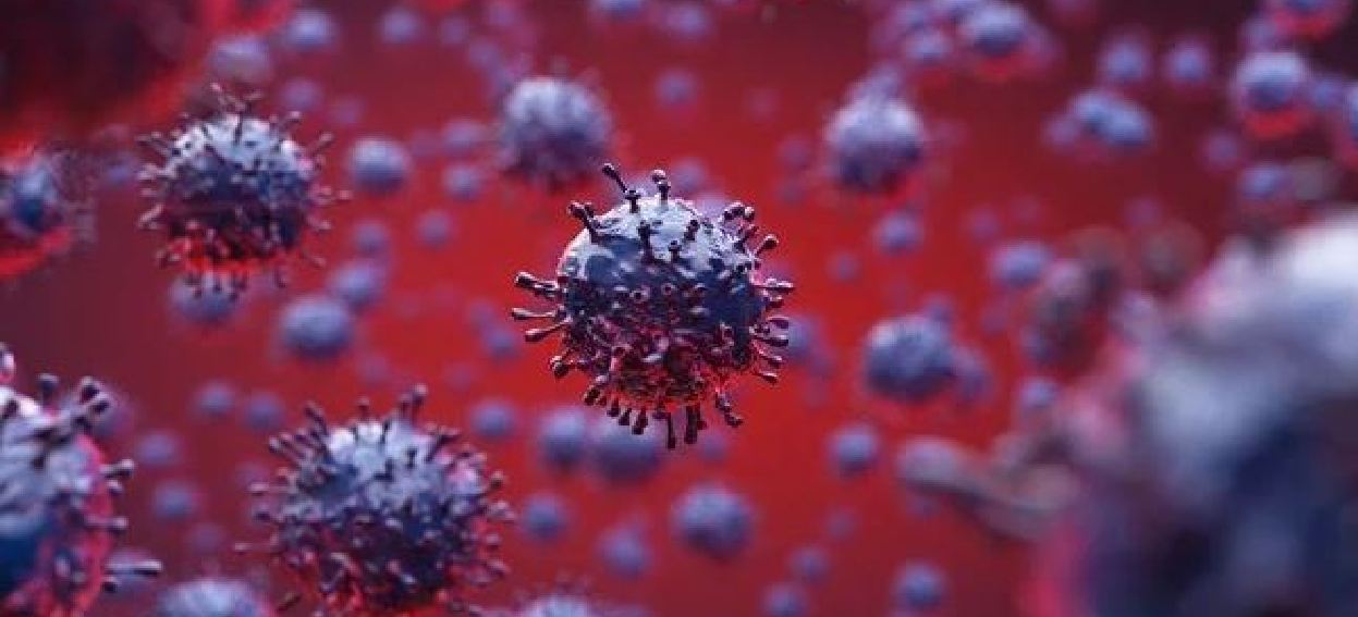 Covid-19 geçiren kişilerin yeniden enfekte olma ihtimali çok düşük