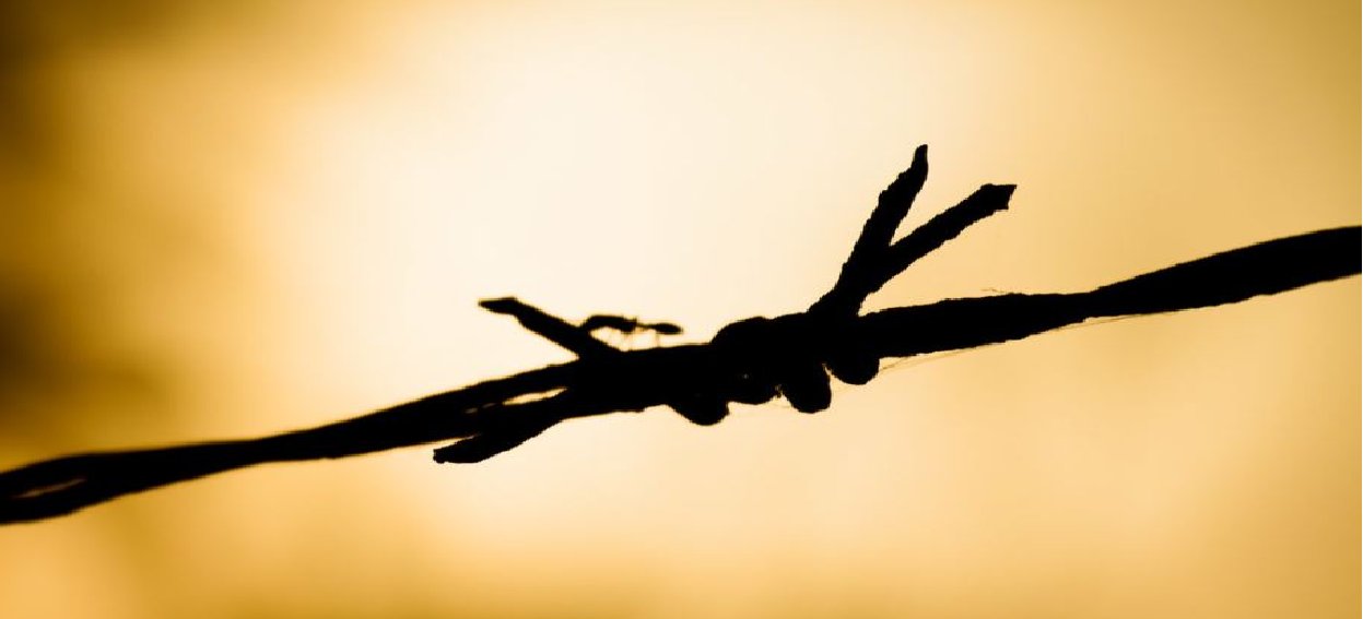 Patates, yumurta ve kahve çekirdekleri ile verilen hayat dersi