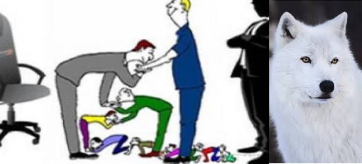 Şaklaban (Dalkavuk) Kurt ve Kurnaz Tilki Masalı