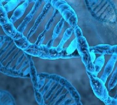 İnsanların DNA'sını Çözmek: Genom Projesi Nedir? Genom Projesi’nin Hedefleri Nelerdir?